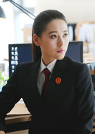 執行利劍(執行法官（王功執導的電視劇）)
