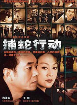 王姬(中國內地女演員、主持人) 王姬(中國內地女演員、主持人)