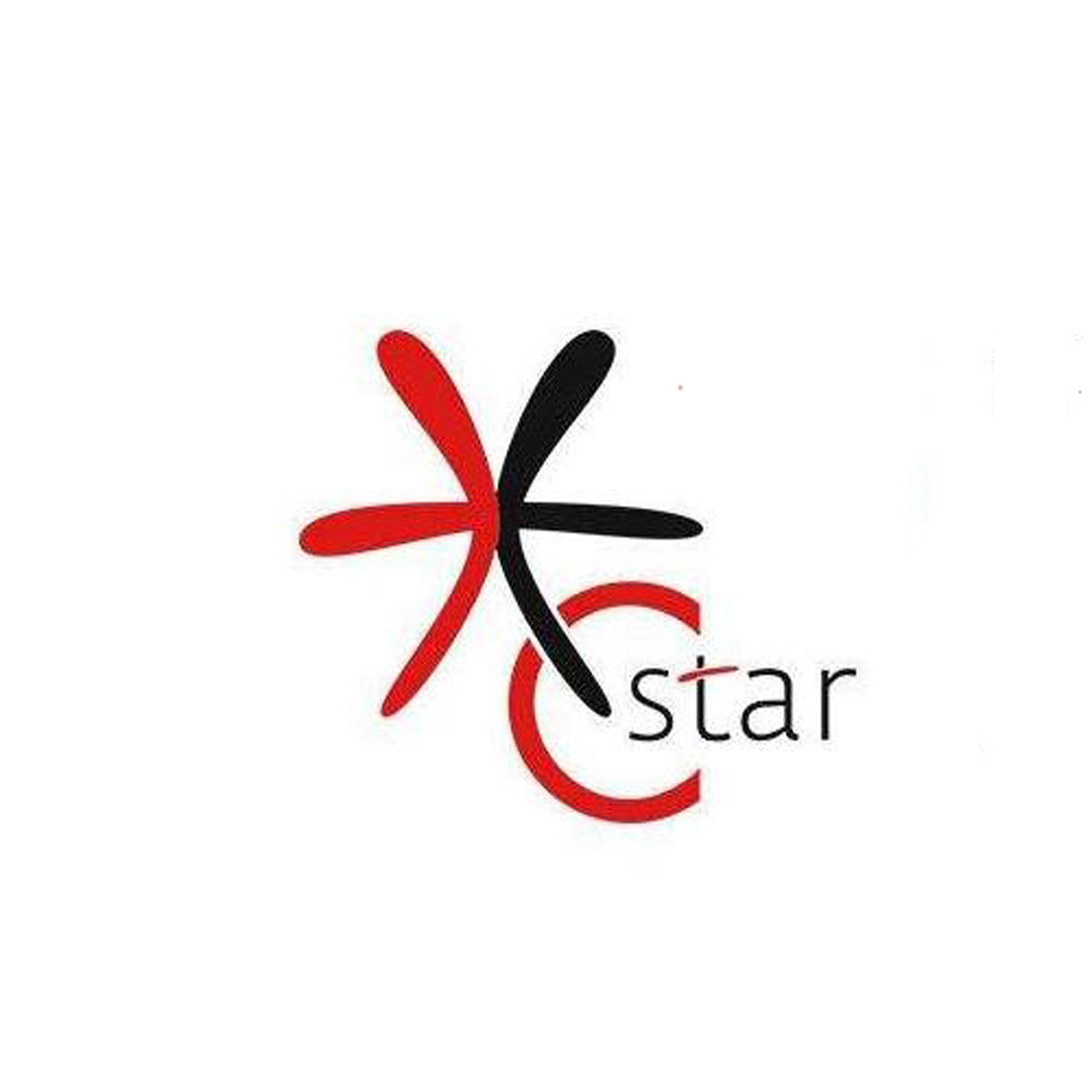 C-star上海國際零售業設計與設備展