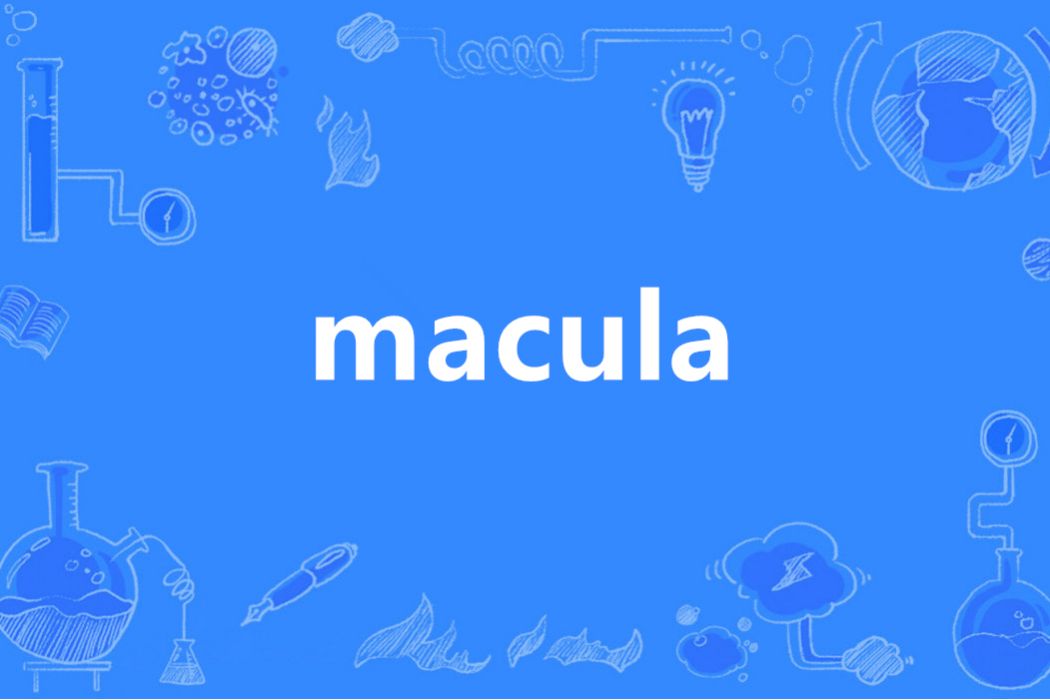 Macula(英語單詞)