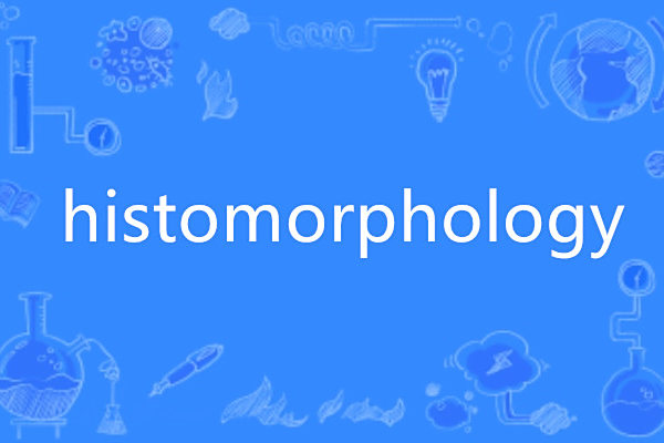 histomorphology histomorphology