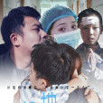藏地鵑音起 藏地鵑音起