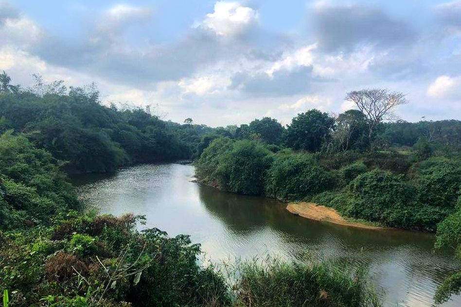 巡崖河 巡崖河