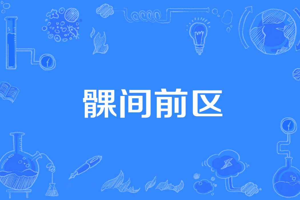 髁間前區 髁間前區