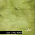 Satan(Chafer, Lewis Sperry著圖書) Satan(Chafer, Lewis Sperry著圖書)