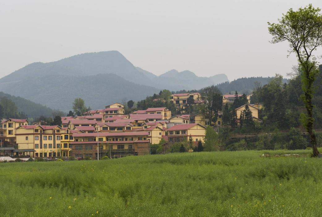 大坪崗 大坪崗
