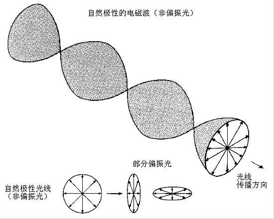 偏振方向 偏振方向