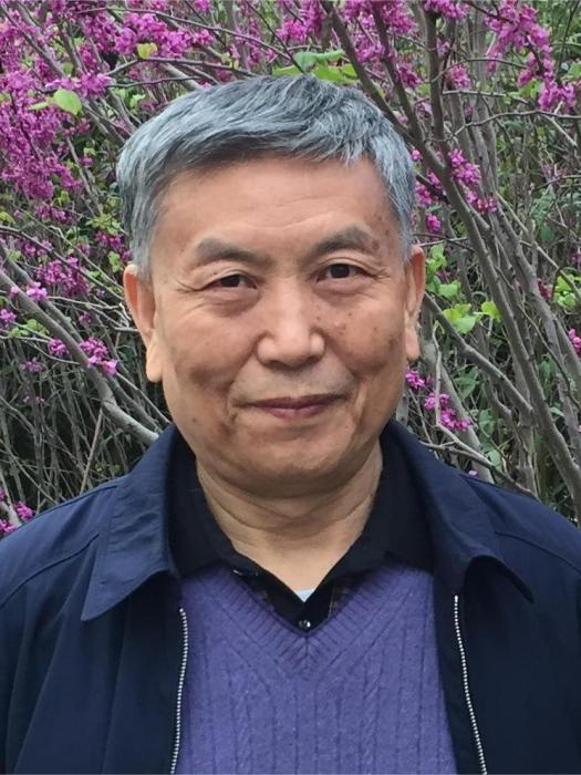 張振立(河南大學中原發展研究院特聘教授) 張振立(河南大學中原發展研究院特聘教授)