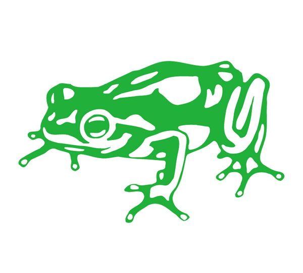 frog(美國創意設計公司)
