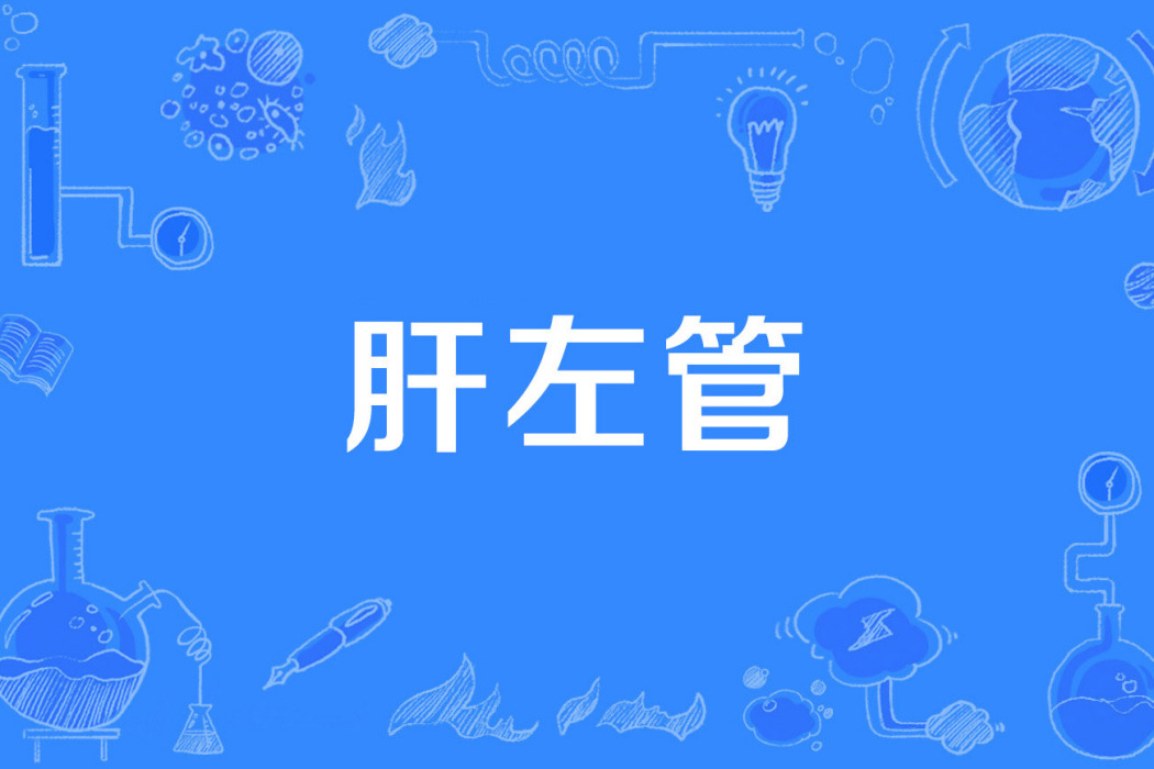肝左管 肝左管
