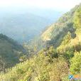 新民村(雲南昭通市魯甸縣龍頭山鎮下轄村) 新民村(雲南昭通市魯甸縣龍頭山鎮下轄村)