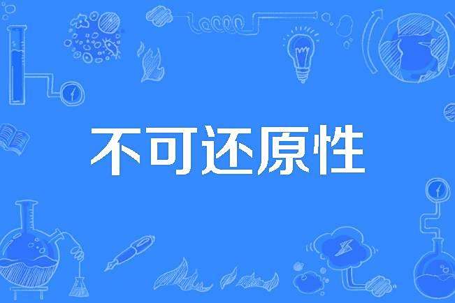 不可還原性 不可還原性