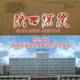 陝西煤炭