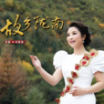 故鄉隴南 故鄉隴南