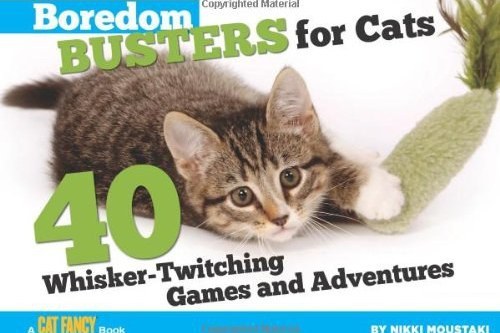 Boredom Busters for Cats Boredom Busters for Cats
