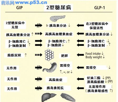 西他列汀