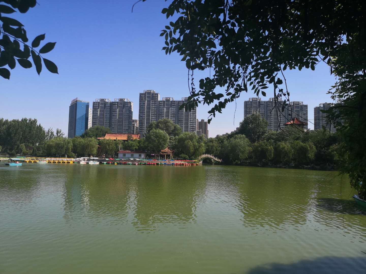 荊河公園