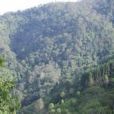 格馬村 格馬村
