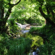 銅弾嶺古道 銅弾嶺古道