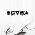 皇極至尊決 皇極至尊決