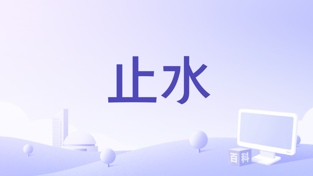 止水(2008年Carolyn Miller執導的電影)