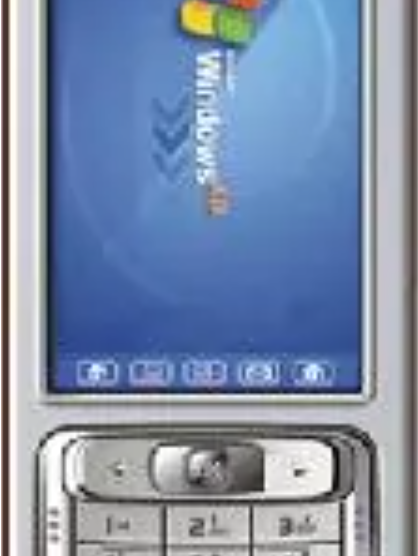 CECT V788 CECT V788