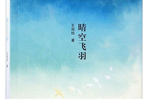 晴空飛羽 晴空飛羽