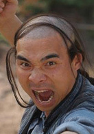 武十郎(楊千嬅、霍建華主演的功夫喜劇)