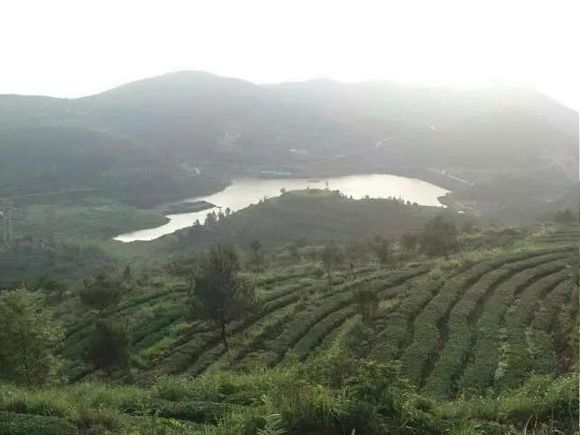停歐村 停歐村