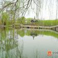 甘泉公園 甘泉公園