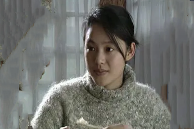 朱小北(《走過幸福》中的女主角) 朱小北(《走過幸福》中的女主角)