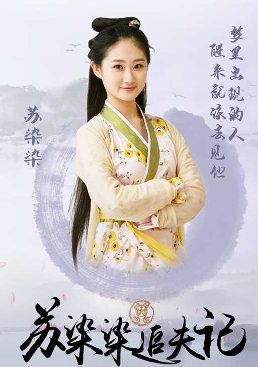 蘇染染追夫記(2016年戴維執導網路劇)