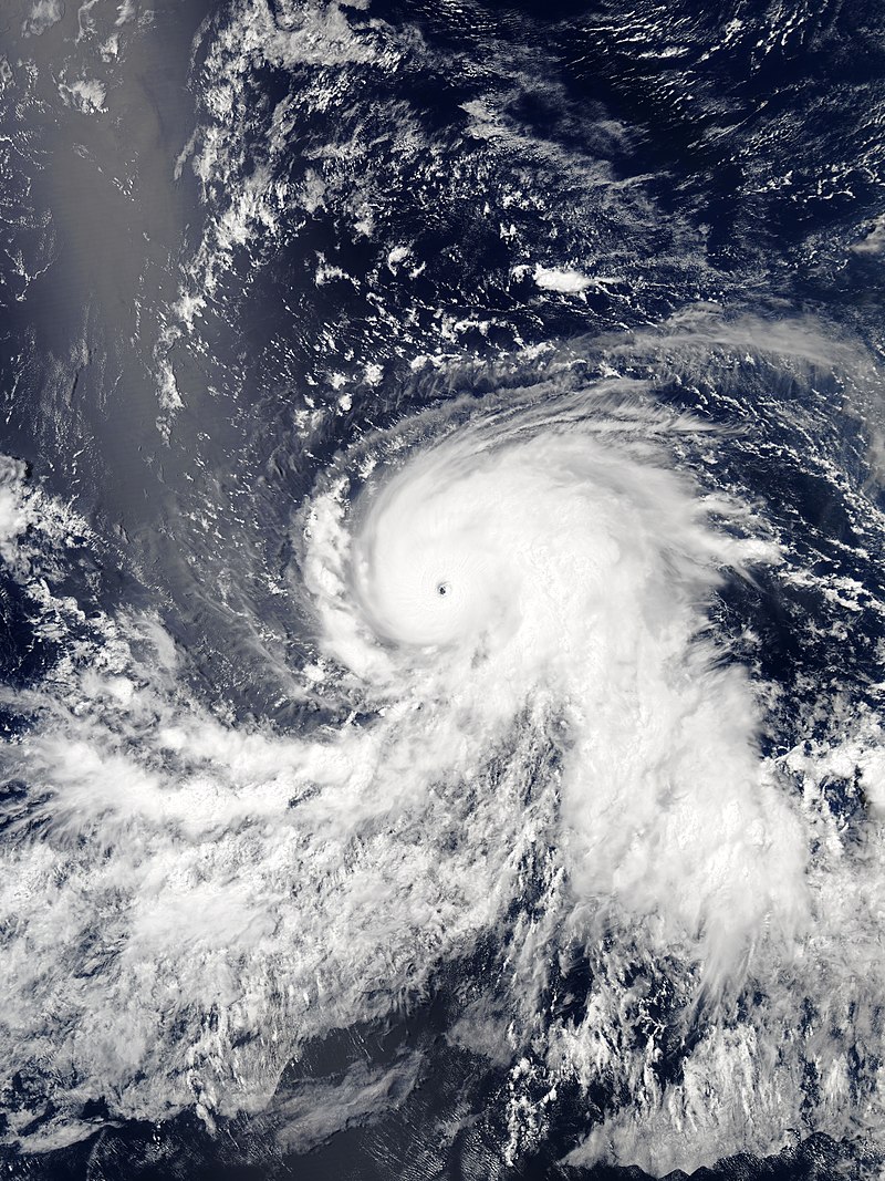 颶風費爾南達 衛星雲圖