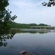 湖溝集 湖溝集
