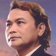 一條情歌(沈文程演唱歌曲) 一條情歌(沈文程演唱歌曲)