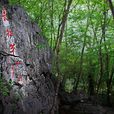 雲石山 雲石山