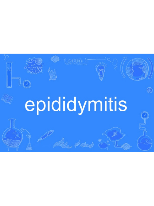 epididymitis epididymitis