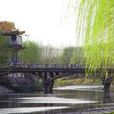 月旦橋 月旦橋