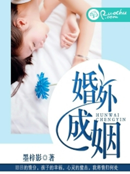 婚外成姻 婚外成姻