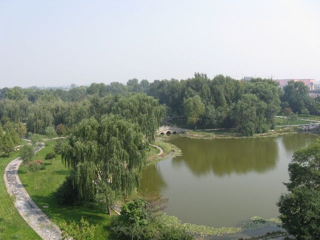 桑家會村