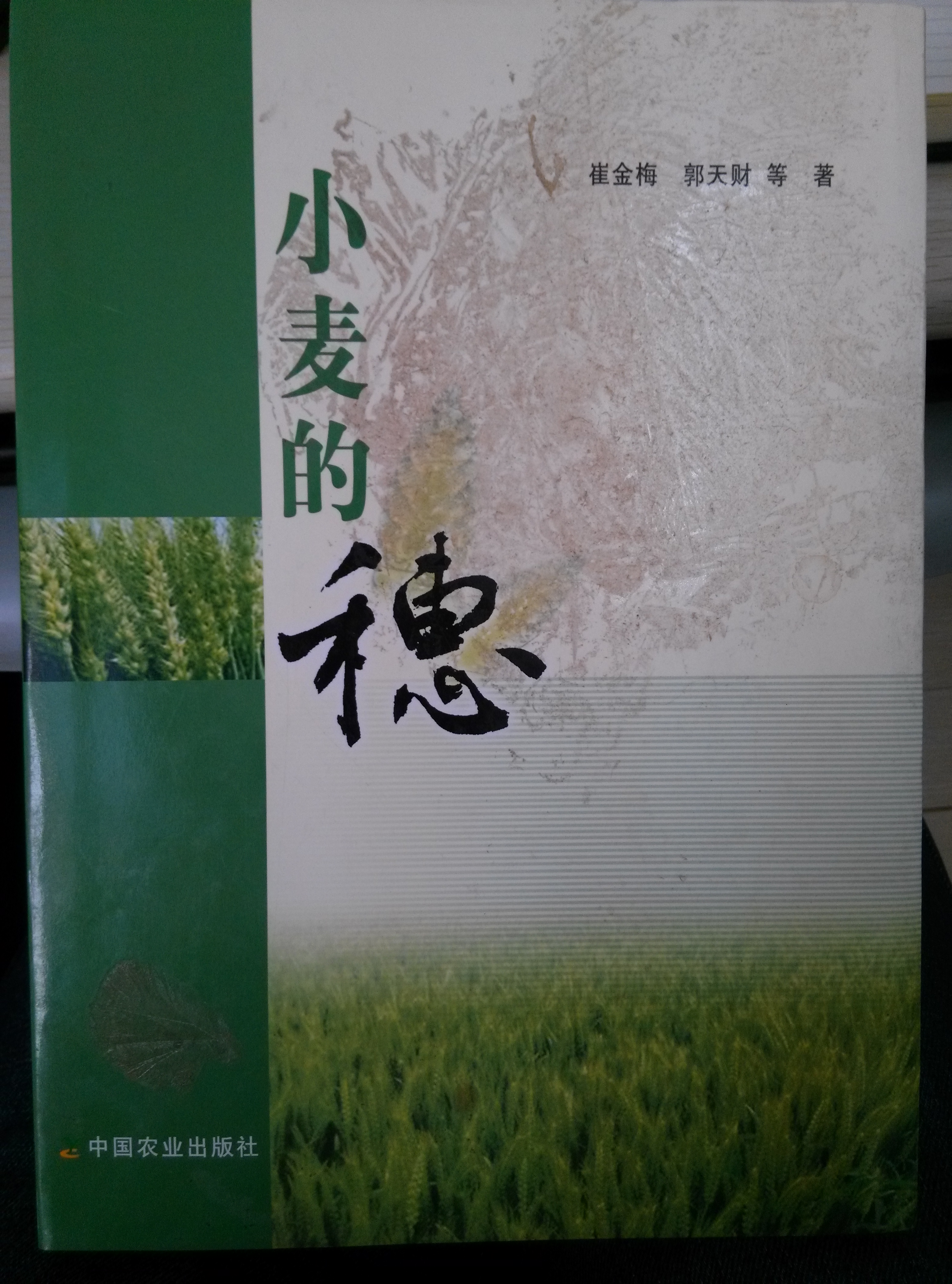 小麥的穗(小麥的穗：2008年崔金梅、郭天財編寫圖書)