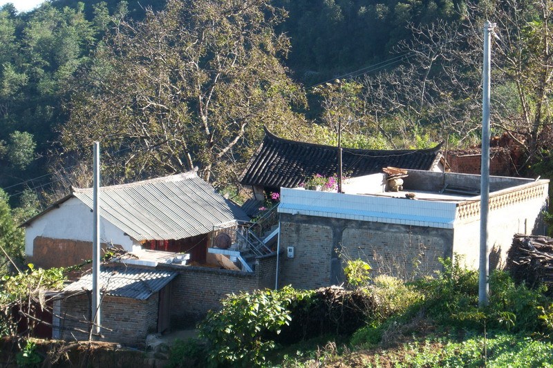 柏枝林村 柏枝林村