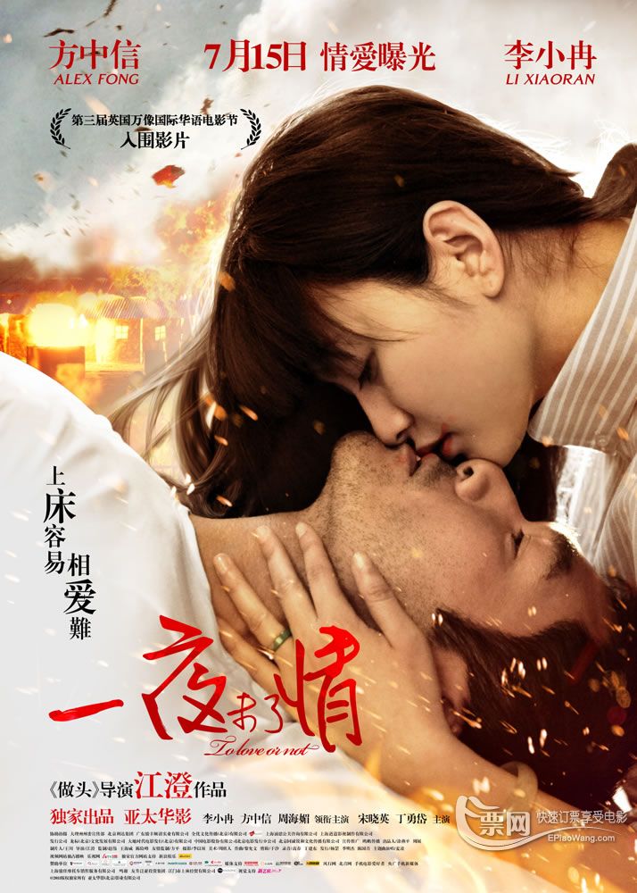 一夜未了情(2011年中國電視劇)