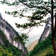 寬闊水國家級自然保護區(神山國際——寬闊水國家級自然保護區)