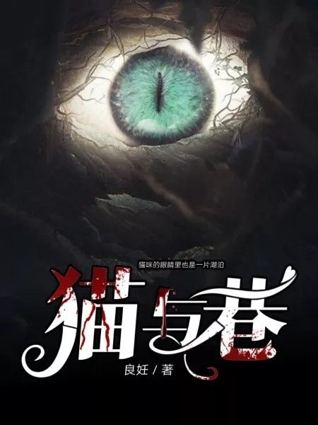 貓與巷