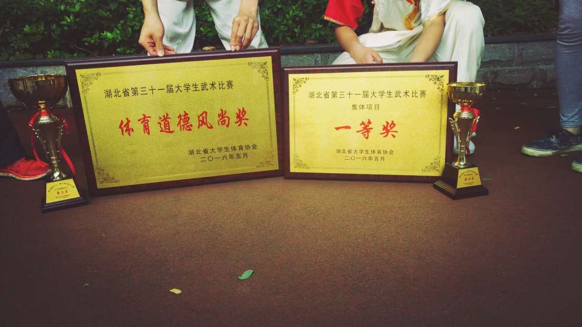 武漢大學中華傳統武術協會