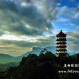 龜頭嶺 龜頭嶺