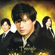 迷離三角(Triangle（2009年日本電視劇）)