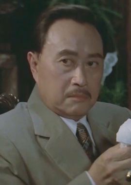 子夜(1981年桑弧、傅敬恭執導電影)