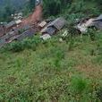 蘇家山村(湖北省黃岡市羅田縣平湖鄉蘇家山村) 蘇家山村(湖北省黃岡市羅田縣平湖鄉蘇家山村)